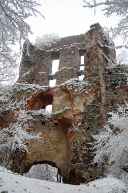 Pajstrom 'un kalıntıları - Slovakya