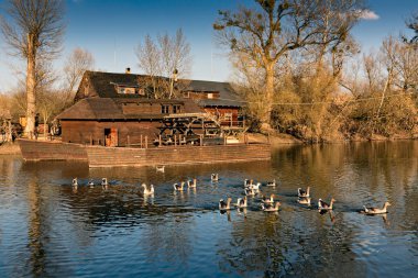 Su değirmeni, Kolarovo, nehir, Vah, Slovakya