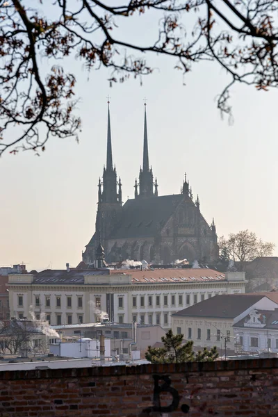 Kathedrale Peter Und Paul Brünn Tschechien — Stockfoto