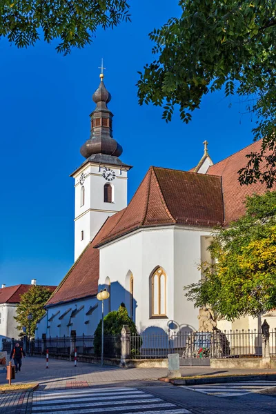 Iglesia Pezinok Católica Eslovaquia —  Fotos de Stock