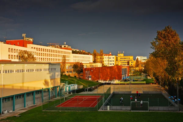 Parco Giochi Urbano Bratislava Slovacchia — Foto Stock