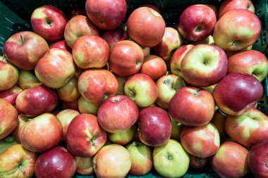 Kutuda elmalar, meyve dükkanı..