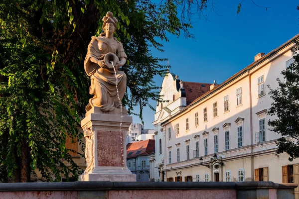 斯洛伐克布拉迪斯拉发弗朗西斯科广场弗朗西斯喷泉雕像 — 图库照片