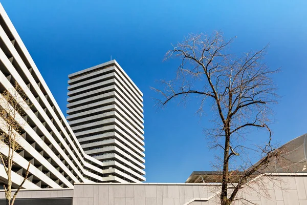 Futbol stadyumu Slovan, Pasienky, Bratislava, Slovakya.