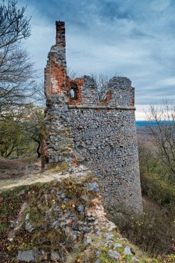 Pajstrom Kalesi Harabeleri, Borinka, Slovakya.