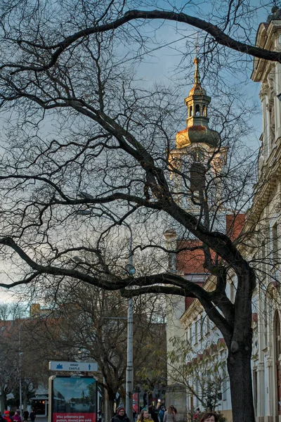 Kostel Milosrdných Bratří Bratislava Slovensko — Stock fotografie