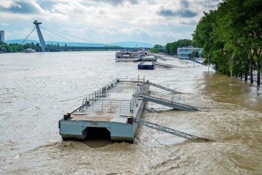 Bratislava 'da sel, yıl 2013, Tuna, SNP Köprüsü, Slovakya.