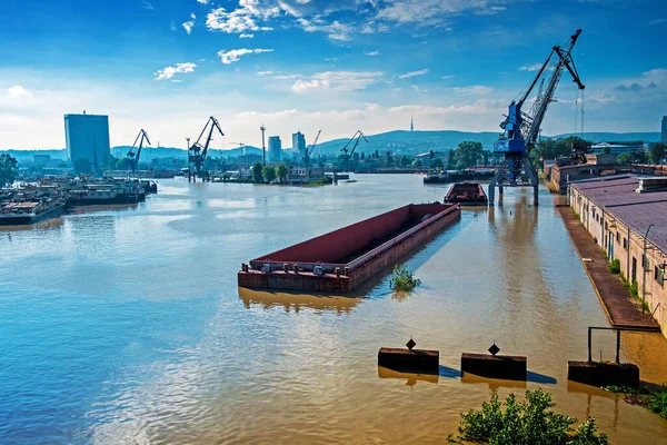 Bratislava flood, year 2013, Danube, Winter port, goods transshipment, Slovakia.