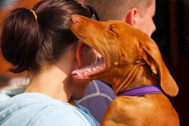 Konuşan köpek gizli konuşuyor.