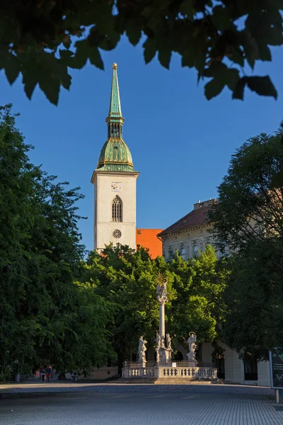 Gothic Cathedral Martin Coronation Church Fish Square Plague Column Bratislava — Stock Photo, Image