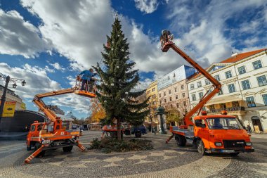 Dekorasyon Noel ağaçları, Bratislava - Slovakya, sanat, mimarlık, binalar, tarih, yaş, şehir, şehir, otomobiller, kamyonlar, vinç, dekorasyon, ağaç, Noel, köknar, personel, kare, Hviezdoslav