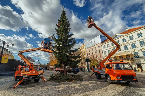Weihnachtsbäume Schmücken Bratislava Slowakei Kunst Architektur Gebäude Geschichte Alter Stadt — Stockfoto