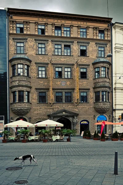 Czech Republic ブルノの歴史的建造物 — ストック写真
