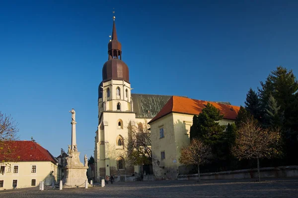 Basiliek Van Sint Nicolaas Trnava Slowakije — Stockfoto