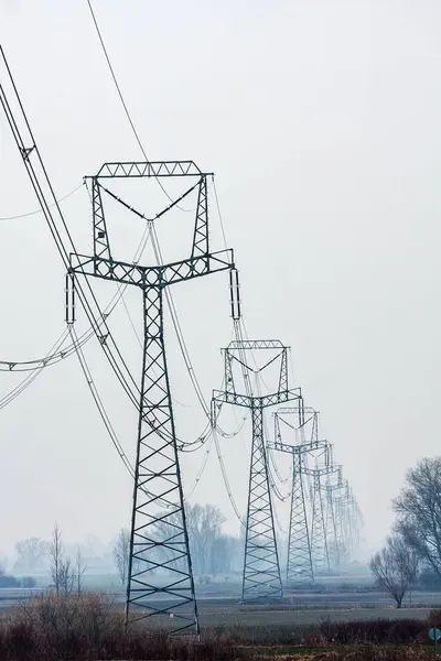 Haute Tension Ligne Électrique Poteaux Slovaquie — Photo