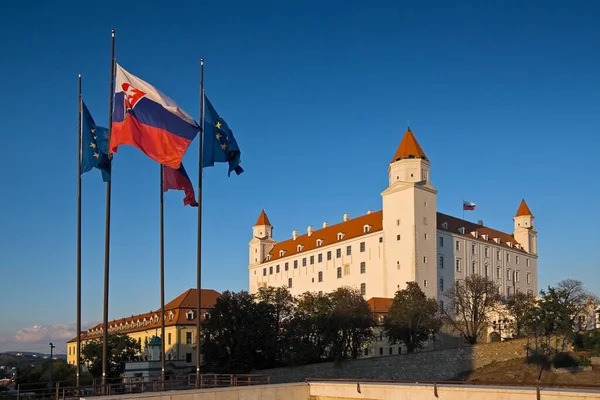 Bratislava castle, detail, A. Dubcek square, Bratislava, Slovakia.