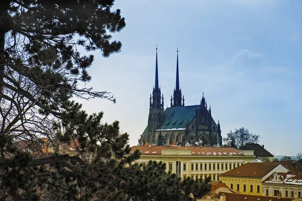 Gotische Kathedrale Peter Und Paul Brünn Tschechien — Stockfoto