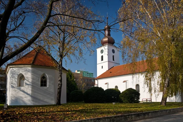 Kościół Parafialny Nawiedzenia Najświętszej Maryi Panny Senicy Słowacja — Zdjęcie stockowe