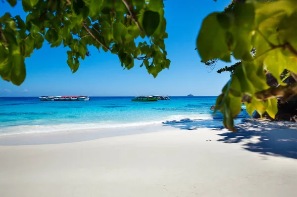 Güzel tropikal plaj ile temiz mavi su
