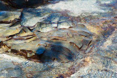 Taşlı plaj su altında. Doku