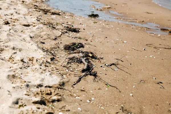 Kirli plaj, çevre kirliliği kavramı