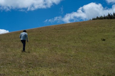 İnekler yeşil ve güzel bir dağda arka planda ağaçlar ve inanılmaz mavi bir gökyüzü.