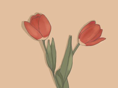 Lale buketi arkaplan biçimi en düşük