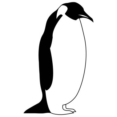 Kuş penguen vektör logosu, kutup hayvanı sembolü