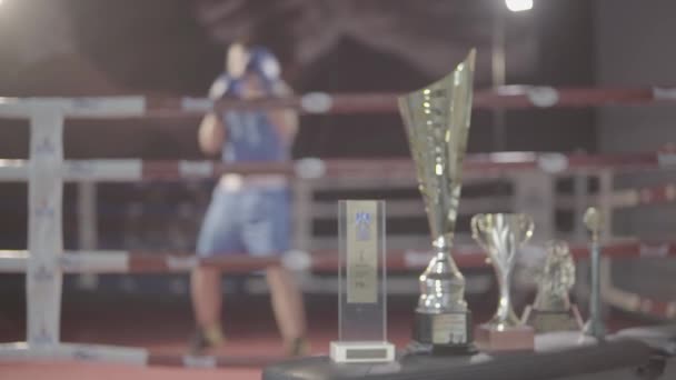 Mladý Atraktivní Bojovník Boxer Samec Atlet Trénink Cvičení Punč Hák — Stock video