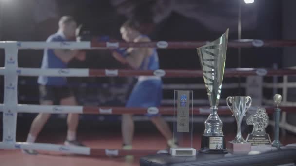 Mladý Bojovník Atraktivní Mužský Boxer Atlet Trénink Cvičení Trénink Punč — Stock video
