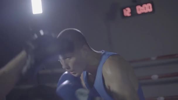 Close Tiro Jovem Atleta Lutador Boxer Treinador Pessoal Praticando Treino — Vídeo de Stock