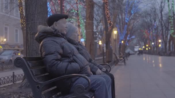 Feliz Niño Nieto Emocionado Corriendo Los Abuelos Sentados Banco Parque — Vídeo de stock