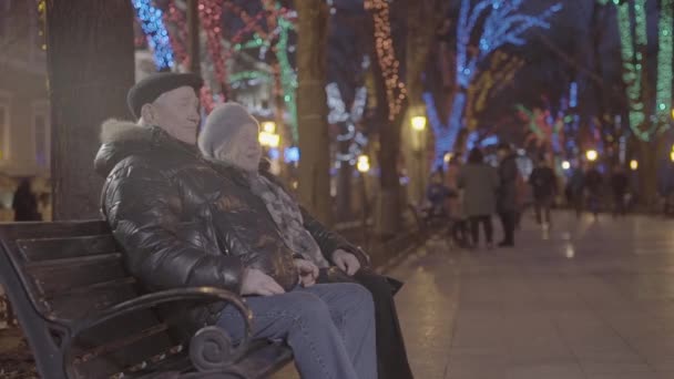 Emocionado Menino Neto Feliz Correndo Para Avós Sentados Banco Natal — Vídeo de Stock