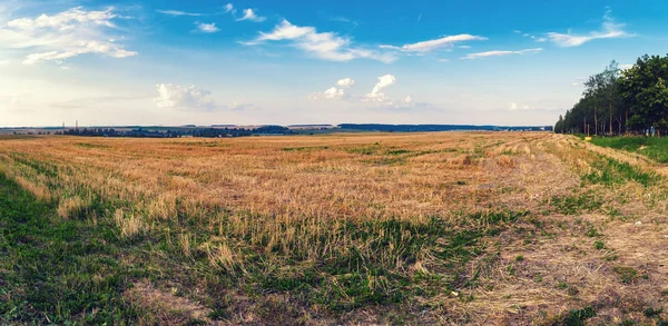 農村部の秋の風景です 収穫後草のフィールドです パノラマ撮影 — ストック写真