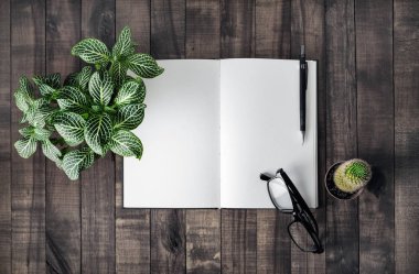 Açık kitap, bitkiler ve Kırtasiye ahşap arka plan üzerinde. Düz yatıyordu.