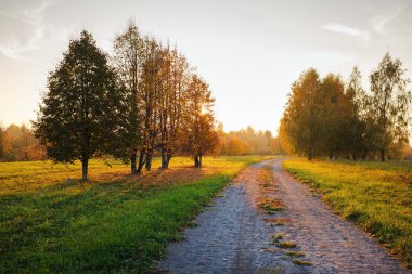 Sonbahar manzara yolu ile. Sonbahar parkın içinden yol.