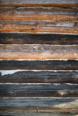 Antika ahşap duvar arka plan günlüğe kaydeder. Ahşap doku yıpranmış.