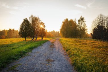 Yol ve renkli ağaçlar güzel altın sonbahar manzara.