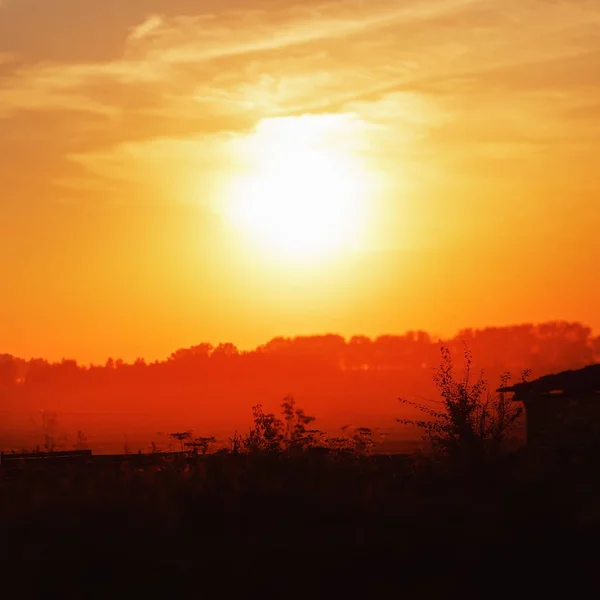 田舎で明るいオレンジ色の夕日 トーンのイメージ フィールドの浅い深さ 選択と集中 — ストック写真