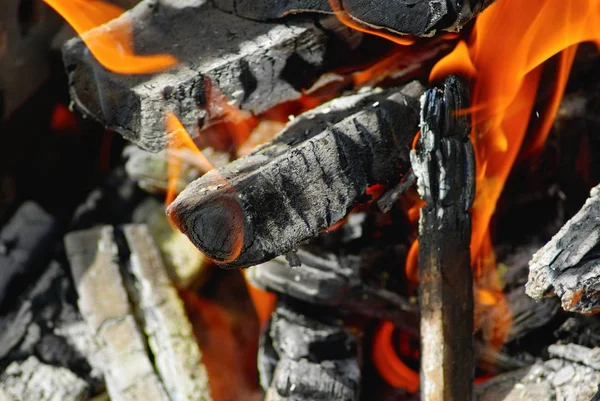 柴火和火焰 火在野营篝火中燃烧 选择性对焦 — 图库照片