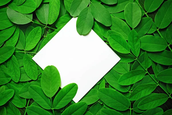 Papel con hojas verdes — Foto de Stock
