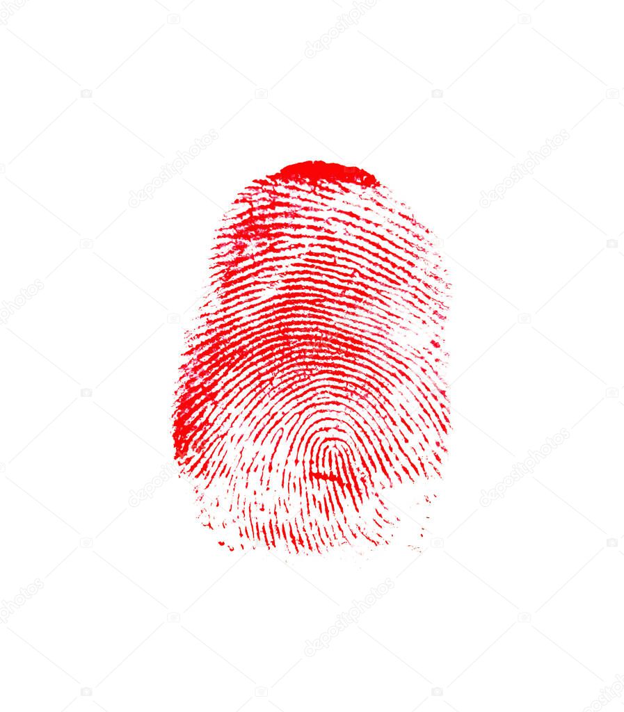 Red thumb fingerprint on white background. Finger print.
