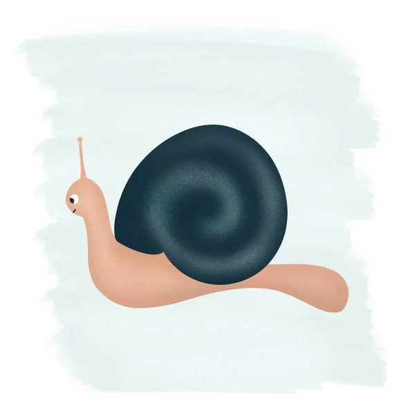 Cute cartoon character snail illustration Cute cartoon character snail illustration