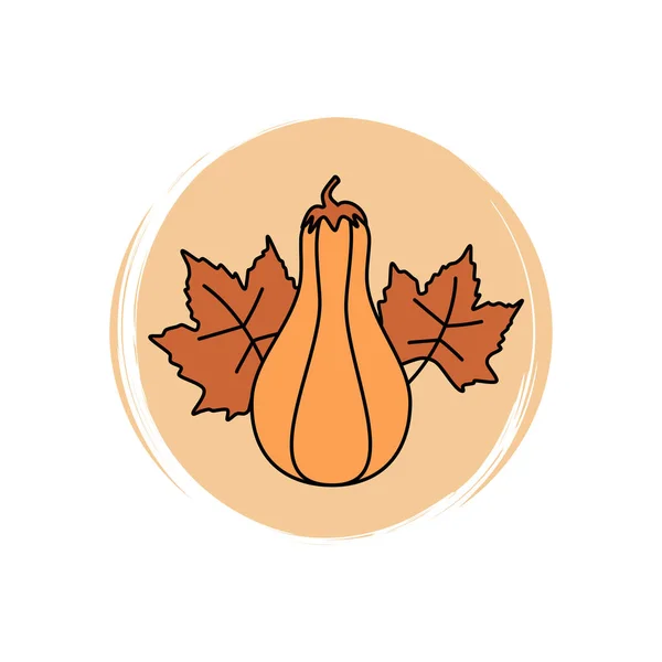 Cute Pumpkin Butternut Squash Icon Vector Εικονογράφηση Κύκλο Υφή Πινέλου — Διανυσματικό Αρχείο