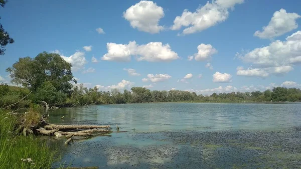 Lago Bosque Tranquilo Día Caluroso Verano — Foto de Stock