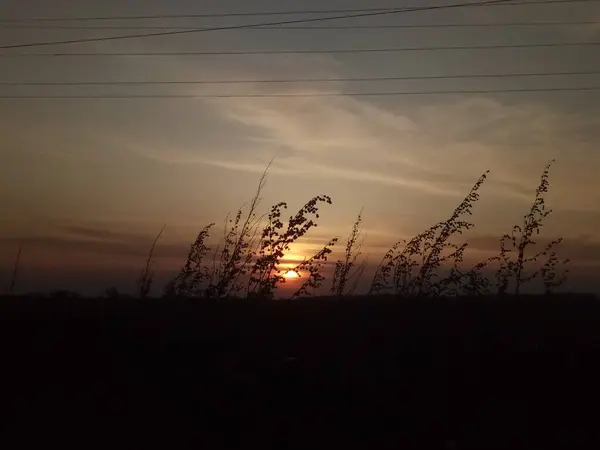 Алый Закат Поле — стоковое фото