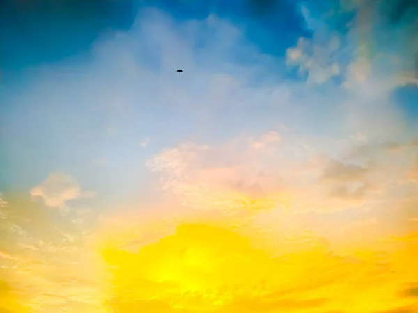 Céu Belo Pôr Sol Fundo Crepúsculo Tempo Cena Colorida Incrível — Fotografia de Stock