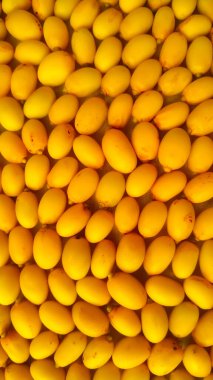 Üst görünüm sarı Neem meyvesinin tam çerçevesi