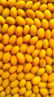 Sarı Neem meyvesi veya tohumu Tam çerçeve kapat