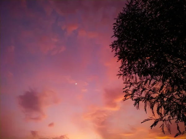 Silhouette Tropischer Baum Mit Sonnenlicht Himmel Bei Sonnenuntergang Sommerurlaub Und — Stockfoto